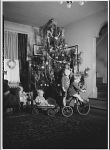 Portrait Photographs. Children with Tricycle and Wagon Next to Christmas Tree I, ca. 1920-50.